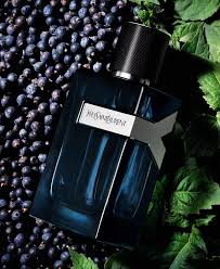 YVES SAINT LAURENT Y INTENSE BY YVES SAINT LAURENT By YVES SAINT LAURENT For MEN (Fragrance)